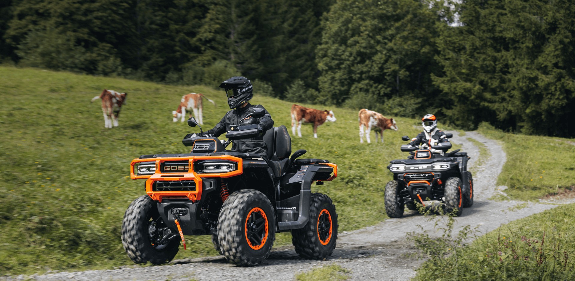 Квадроцикл CFMOTO Goes Terrox 1000